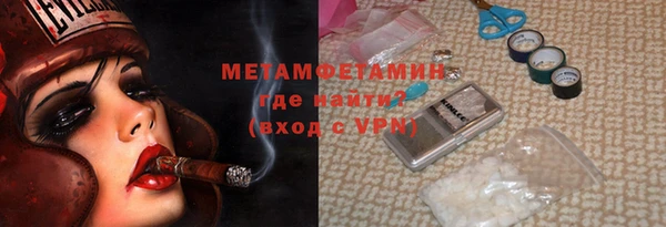 ГАЛЛЮЦИНОГЕННЫЕ ГРИБЫ Строитель