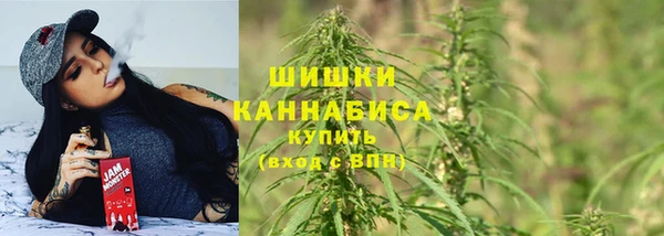 прущая мука Каменногорск