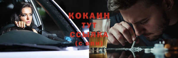 ПСИЛОЦИБИНОВЫЕ ГРИБЫ Баксан