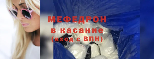 трава Сясьстрой