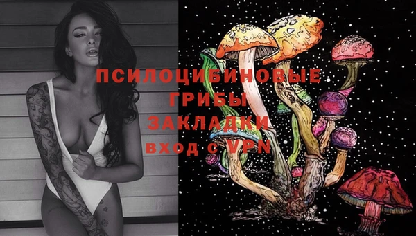 ПСИЛОЦИБИНОВЫЕ ГРИБЫ Баксан