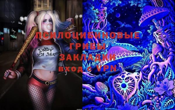 ECSTASY Балабаново