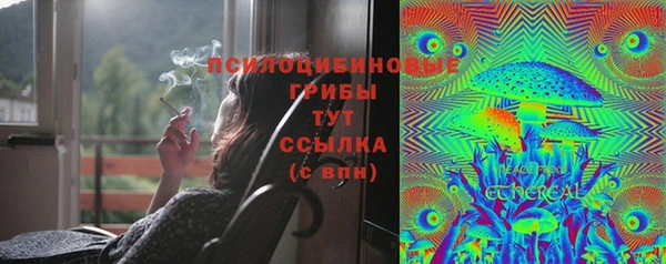 ECSTASY Балабаново