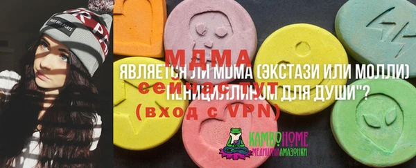 ГАЛЛЮЦИНОГЕННЫЕ ГРИБЫ Строитель