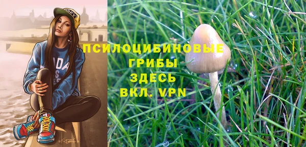 молекула духа Армянск