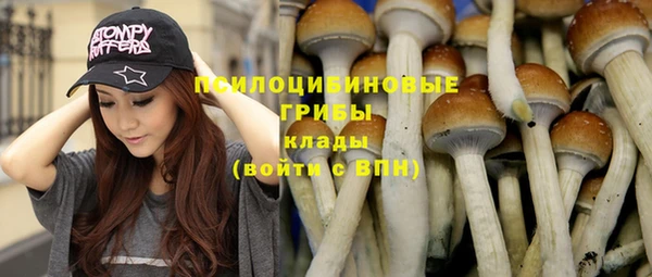 каннабис Тавда