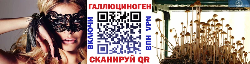 закладки  Инза  Галлюциногенные грибы мухоморы 
